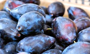 How can you properly dry plums at home (in the oven, electric dryer, microwave and in the sun)?