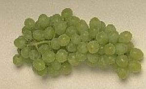Grapes are a natural medicine for the kidneys
