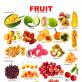 All fruits and berries in English