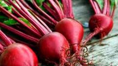 The best recipes for beetroot dishes