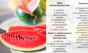 How many calories and carbohydrates are in watermelon?