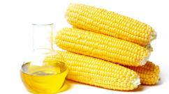 Kukuřičný olej: příznivé vlastnosti a kontraindikace