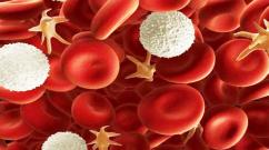 Age-related blood characteristics in children and adolescents