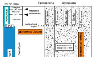 Symbiotic origin of mitochondria and plastids