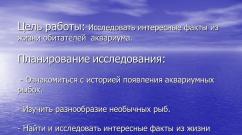 Research work on the topic'Аквариум в вашем доме' Тезисы к исследовательской работе рыбы в аквариуме