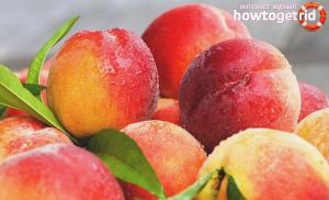 The benefits and harms of an unusual fruit - nectarine Nectarine beneficial properties and contraindications