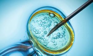 IVF with a donor egg: reviews, chances, quota