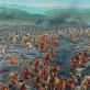 How was the Battle of Pydna - one of the most famous battles of the Third Macedonian War The War of the Romans with Macedonia
